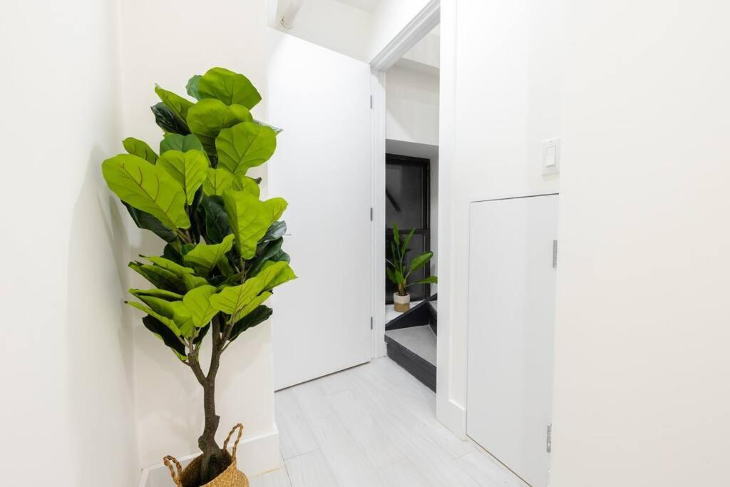 170-g 3br Duplex With Outdoor Space East Village Nova York